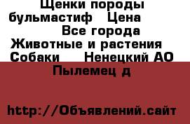 Щенки породы бульмастиф › Цена ­ 25 000 - Все города Животные и растения » Собаки   . Ненецкий АО,Пылемец д.